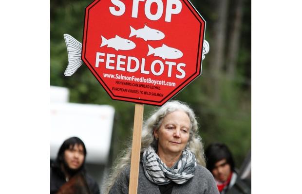 WINGS Fellow Alexandra Morton featured in The Vancouver Sun about her work with Salmon in B.C